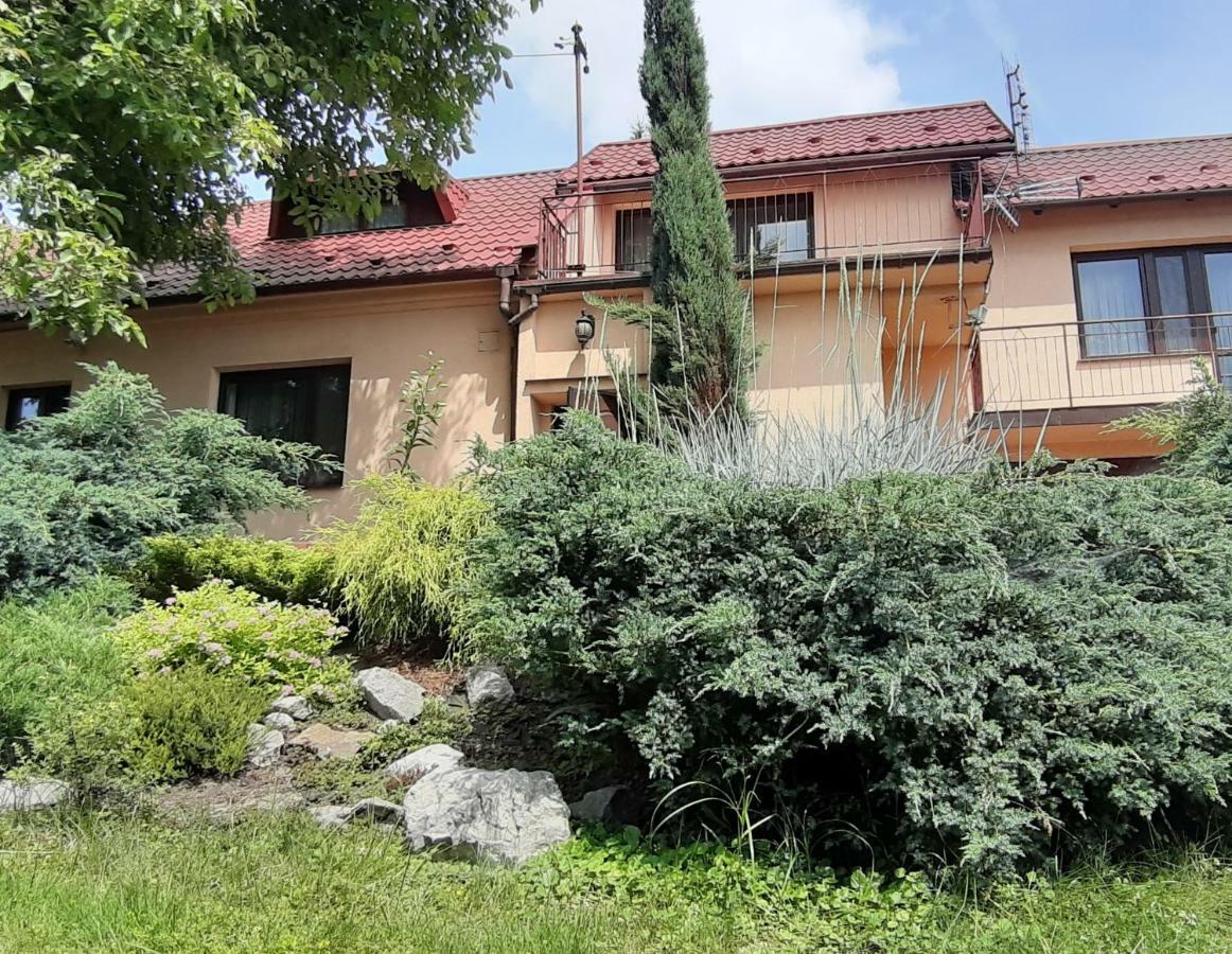 Villa Dom Nad Wisla Czernichow  Esterno foto